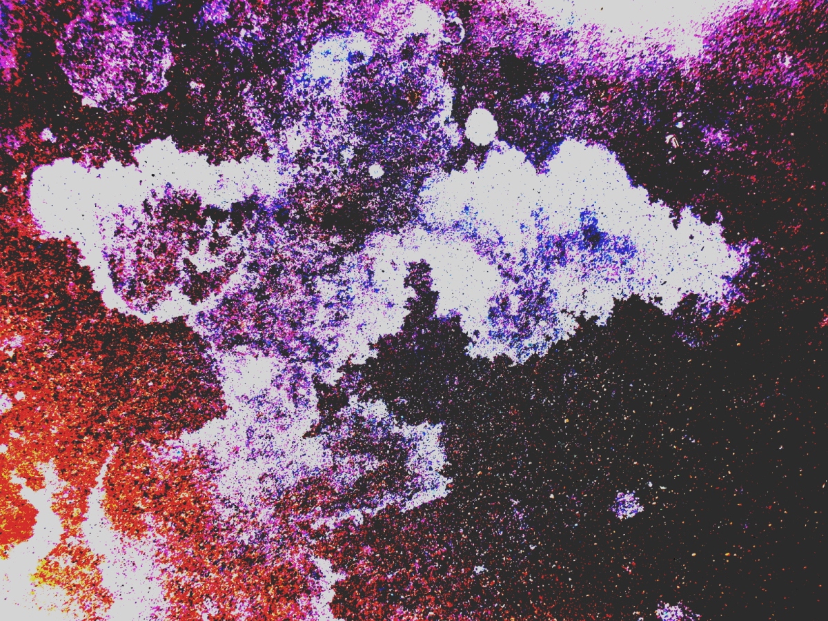 The Roc Nebula